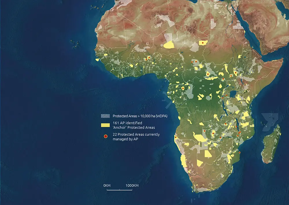 Schutzgebiete > 10.000 ha (WDPA)| 161 AP-Ankergebiete | 22 von AP aktuell verwaltete Schutzgebiete
