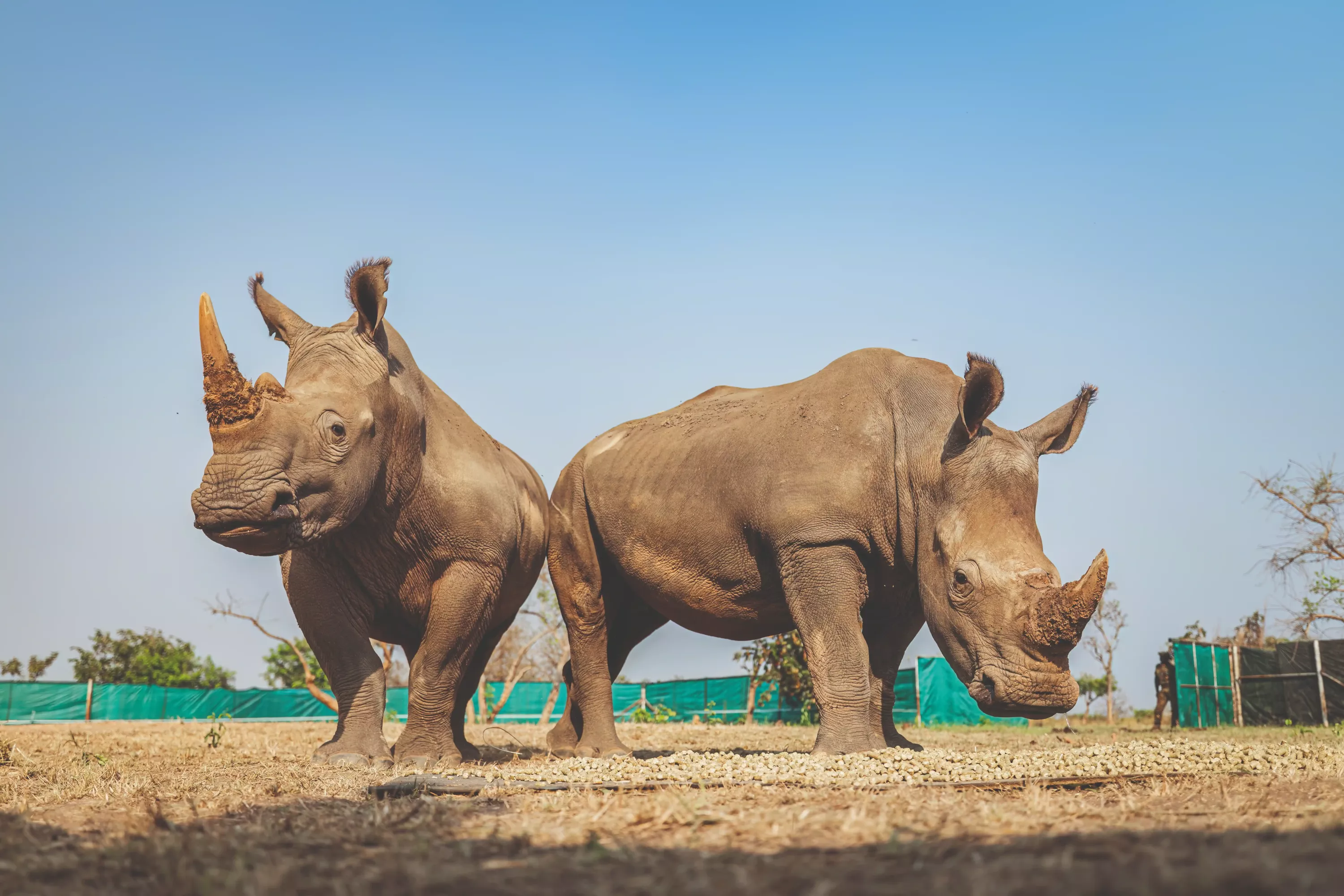 Biodiversity Conservation and Monitoring