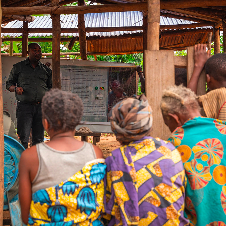Safeguards and Governance