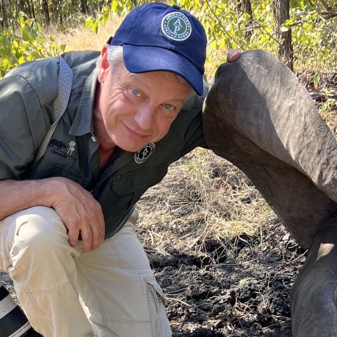 Arent Fock, Stichting African Parks Foundation Chairman