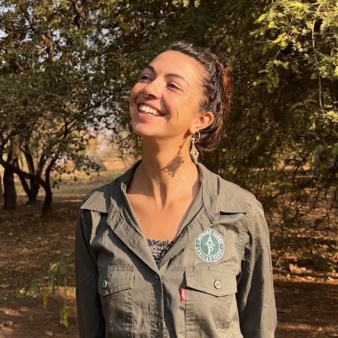 Manon Laboureur 
