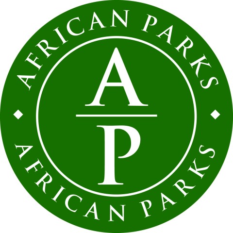 AP Logo