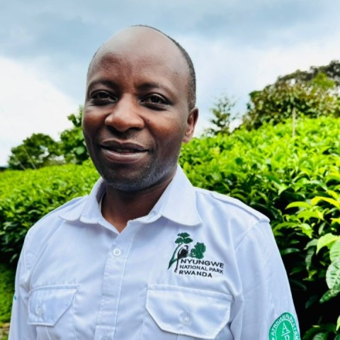Pierre Ntihemuka