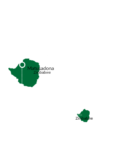 African Parks Saving Wildlife