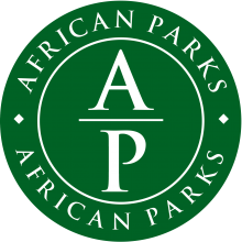 AP logo 