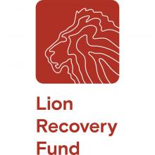 The Lion Recovery Fund