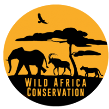 Wildlife Africa Conservation logo