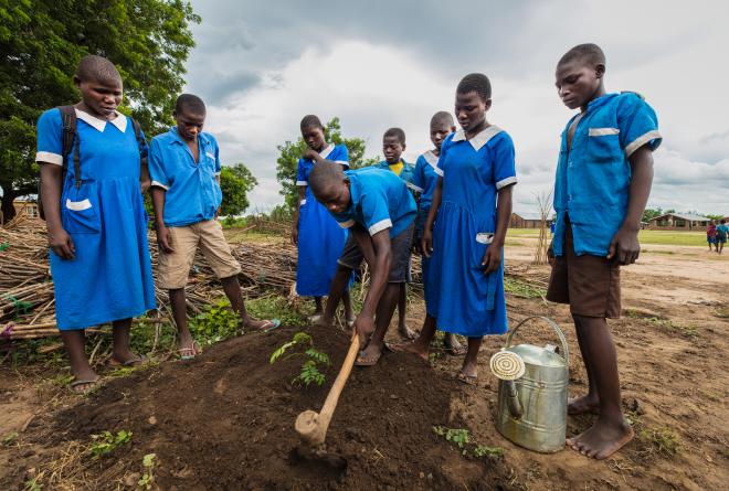 School children in Malawi planting trees as part of an eco-school project supported by African Parks © Marcus Westberg