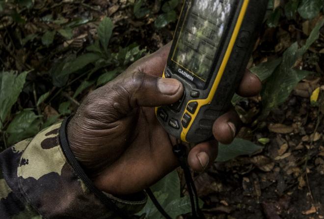 Odzala-Kokoua Law Enforcement | Ranger using a GPS while in the field