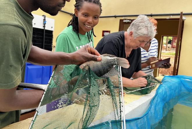 Gishanda Fish Farm Team | man holds tilapia in a net while a women looks on 