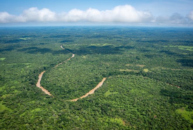 Aerial view of a river meandering through the Chinko forest as a cloudy sky expands into the distant horizon