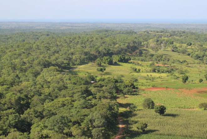 Nkhotakota Wildlife Reserve