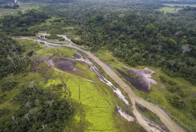 Odzala-Kokoua National Park in the Republic of Congo © Jan Vermeer