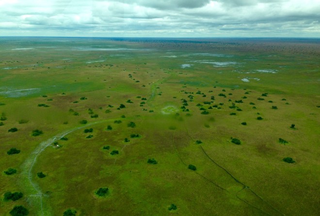 Bangweulu