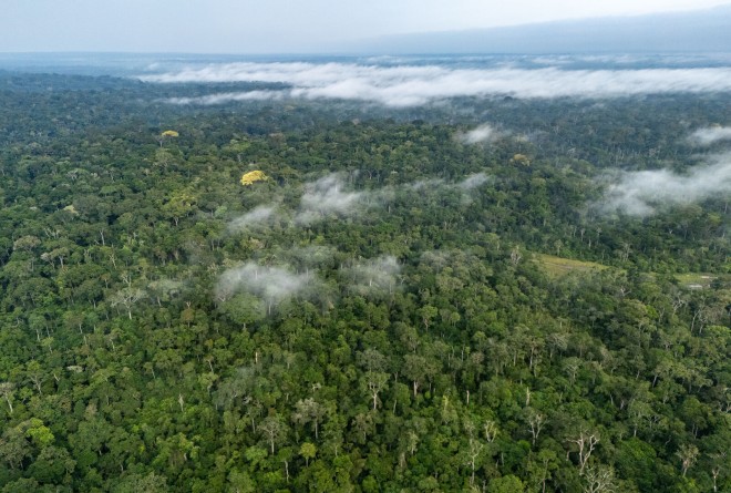 Biodiversity