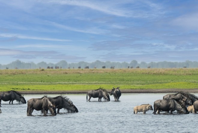 Liuwa Plain 