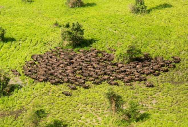 Gambella 