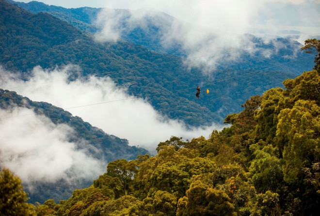 Nyungwe zipline 