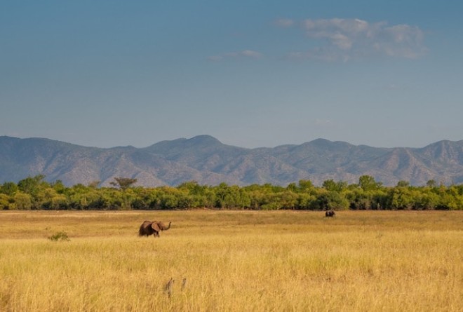 Matusadona National Park