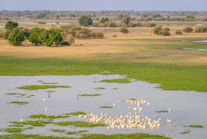 Zakouma NAtional PArks 