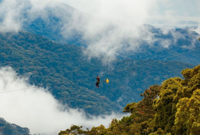 Nyungwe National Park