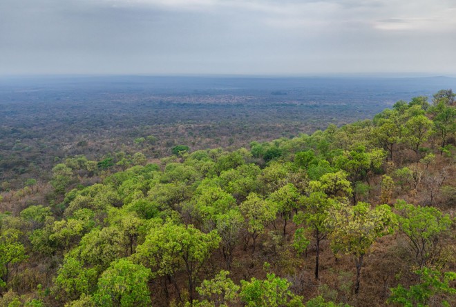 Reducing Human–Wildlife Conflict: Traditional Knowledge and Innovation in Garamba National Park