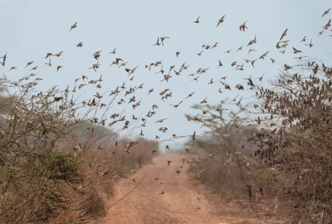 Gambella National Park 