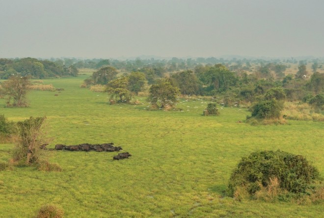 Gambella National Park 