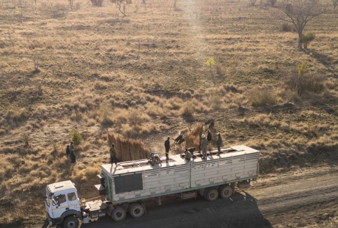 Weldbees translocation in Kafue