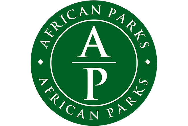 AP Logo 