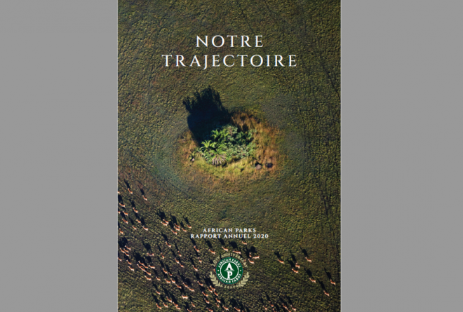 French Annual Report 2020
