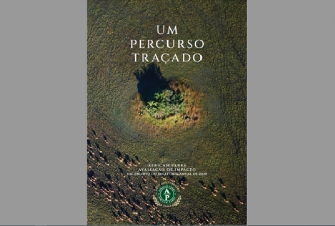 Portuguese Annual Report