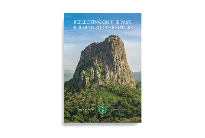 2023 African Reports Annual Report - Craggy mountain rising from the forest with blue skies above