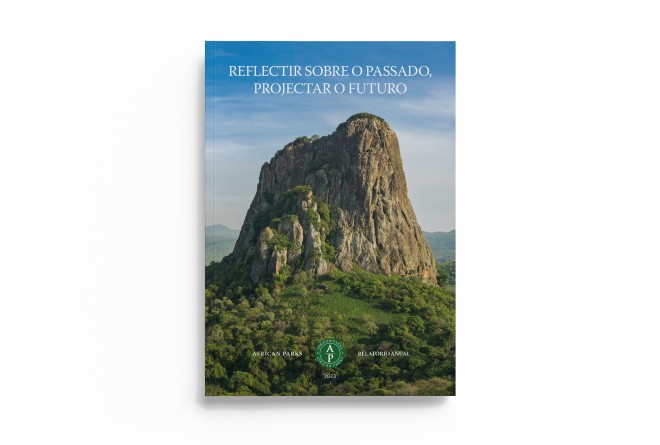 Portuguese Annual Report 2023 