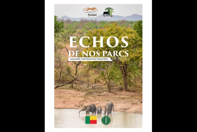 Elephants in a watering hole amongst trees
