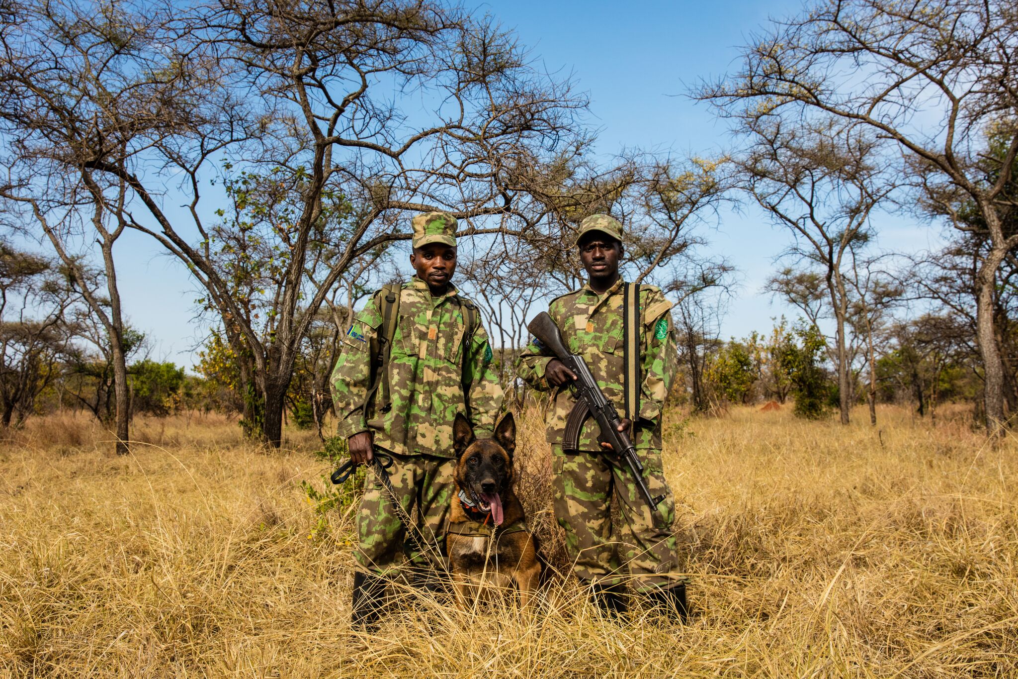 Canine Command | African Parks 