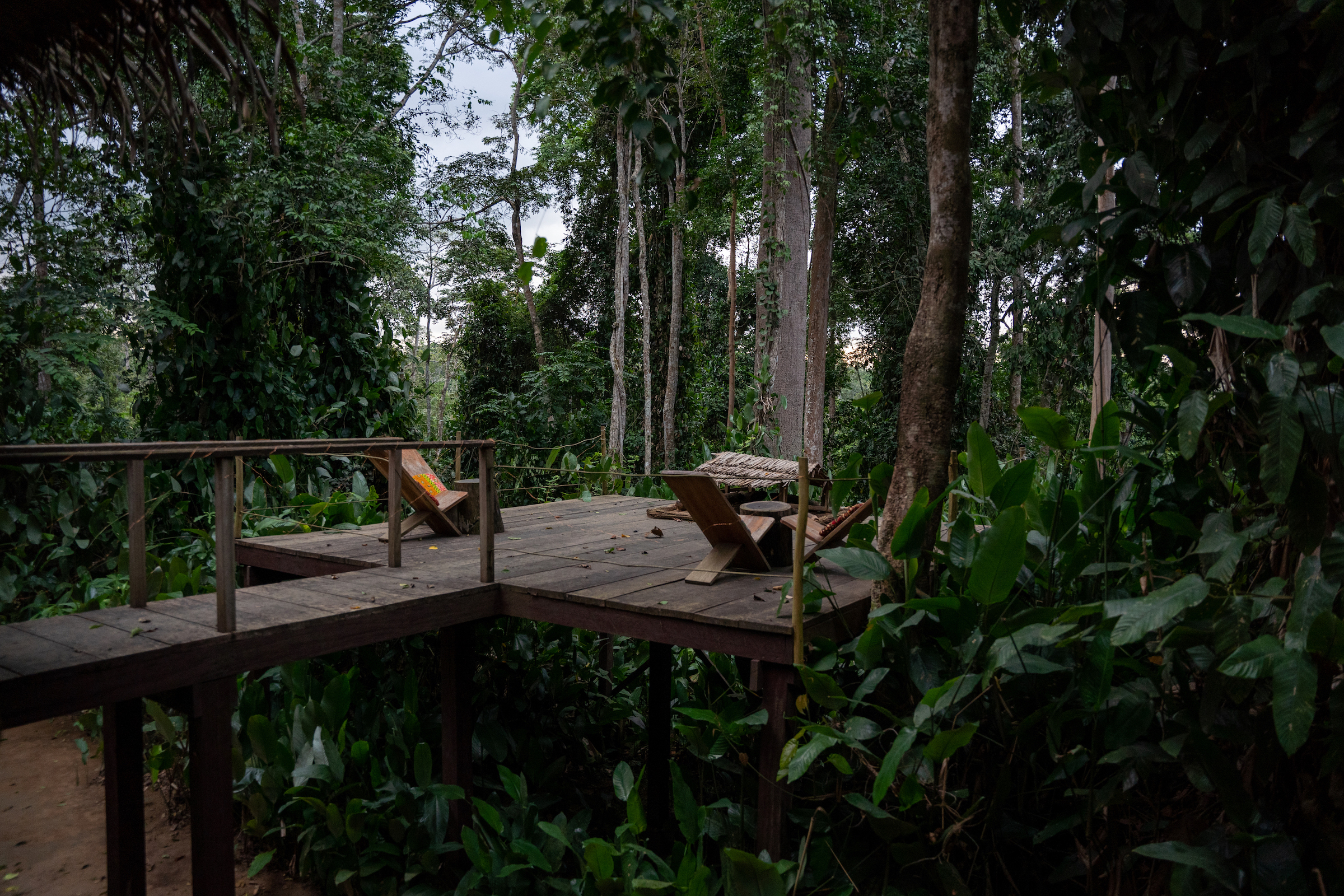 Odzala-Kokoua Camp Imbalanga | Relaxing chairs on raised decks amongst the forest trees