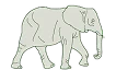elephants.webp 
