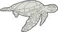 species.webp