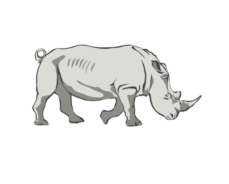 Rhino Icon Graphic