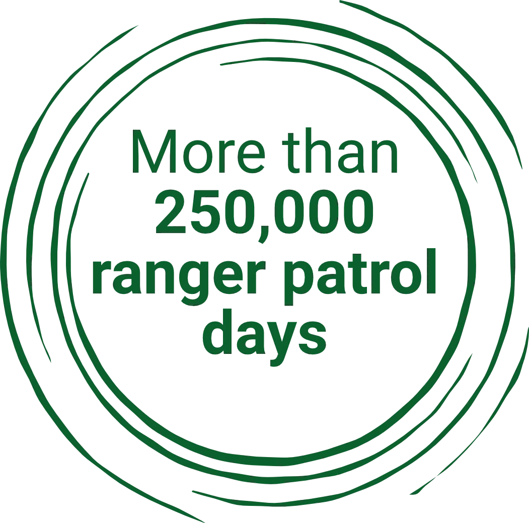 More than 250,000 ranger patrol days