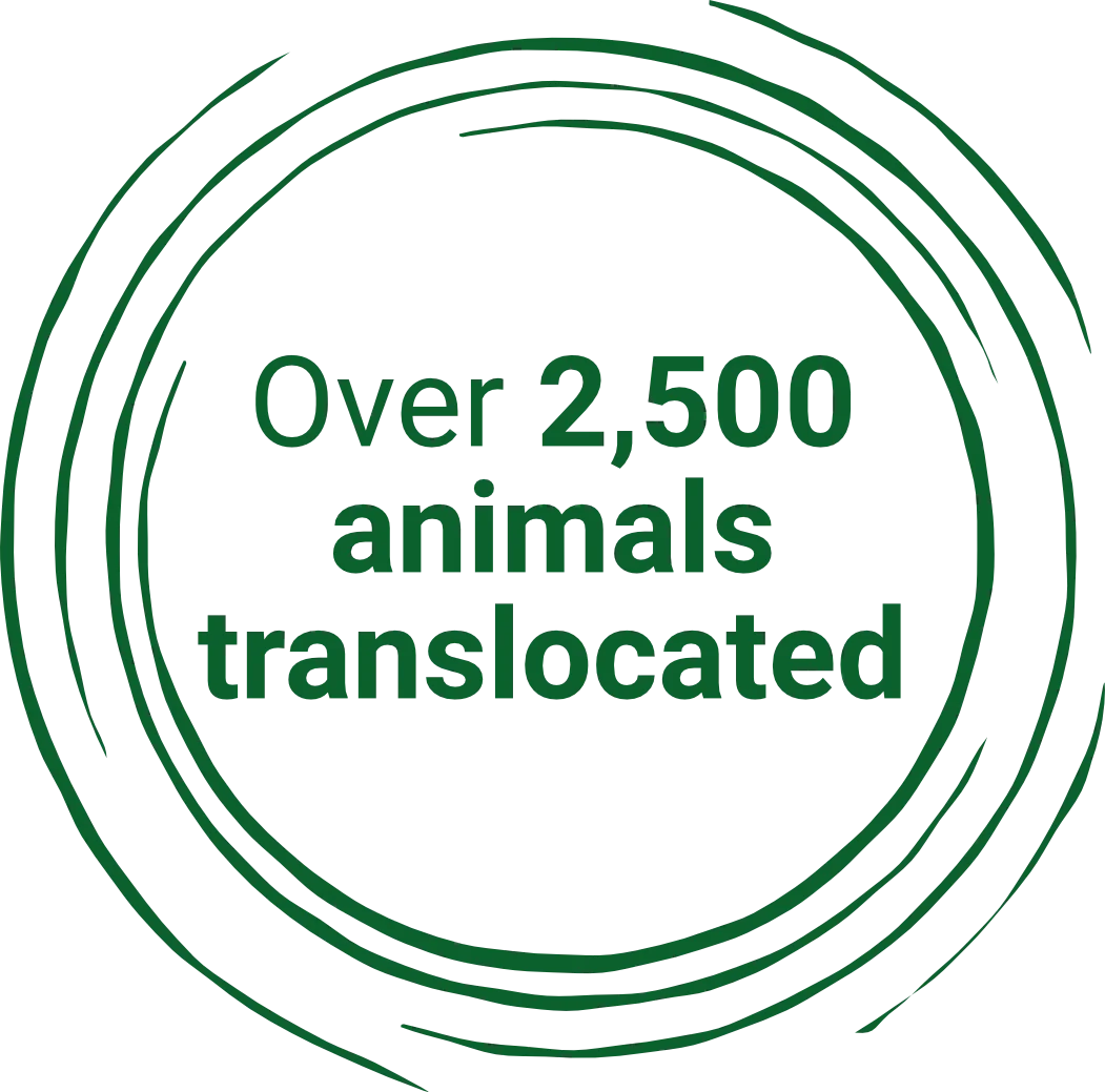 Over 2,500 animals translocated
